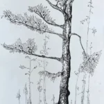 <div class="text-picture-container">
                  <p class="picture-author">Marina Barinova</p>
                  <p class="picture-name">"Puu kuju"</p>
                  <p class="picture-techniques">Graafika</p>
                  <p class="picture-material">Paber,Tušš</p>
                  <p class="picture-teacher">Anatoli Romanov</p>
                  <p class="picture-year">2002</p>
</div>